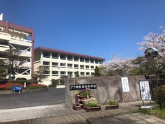 桜正門