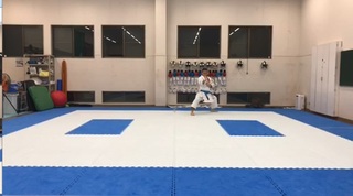 karate2