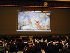 07