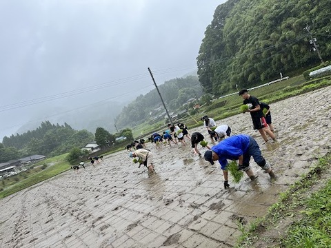 田植え２