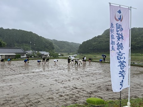 田植え３