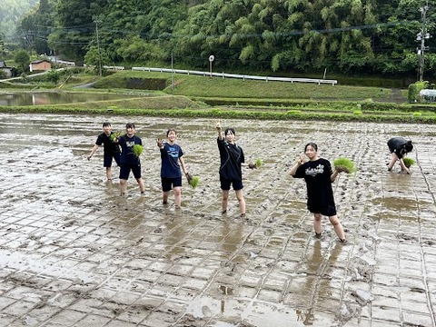 田植え４
