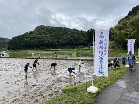 田植え５