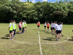 image_50432513