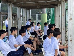 image_50740993