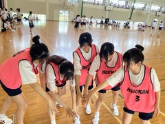 image_50773761
