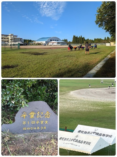 tunagu