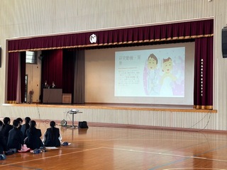 image1 (8)