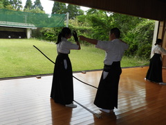 DSCN8611